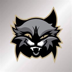 Wildcats Flag Football, Saint-Jean-de-Védas - Horaires d'ouverture