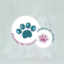 Elevage de l'Amour des Chiens et Chats Liessies, - Horaires d'ouverture