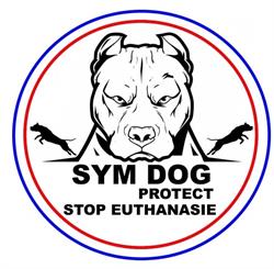SYM DOG 56, Brignac - Horaires d'ouverture
