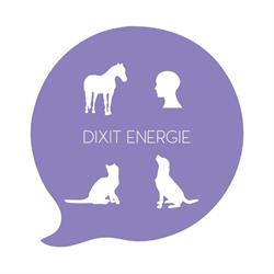 Dixit Energie, Montvicq - Horaires d'ouverture