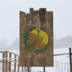 Poney Club le Toupet, Lecques - Horaires d'ouverture