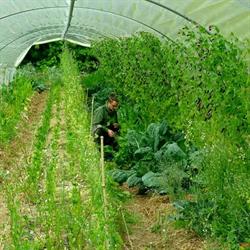 Ter Ferme - L'univers agroécologique de Kerdroual, Ploemeur - Horaires d'ouverture