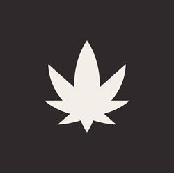 High Society - Votre Expert CBD & Vape à TOURCOING, Tourcoing - Horaires d'ouverture