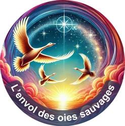 QI GONG et LECTURE D'ÂME - L'Envol des Oies Sauvages, Muret - Horaires d'ouverture