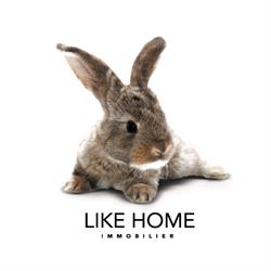 Like Home Gestion, Lyon - Horaires d'ouverture
