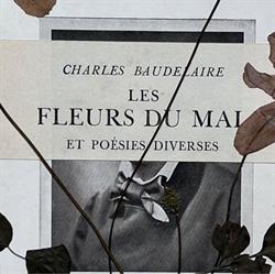 La Baudelaire Gallery, Gerberoy - Horaires d'ouverture