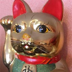 Wa Sing, Muret - Horaires d'ouverture