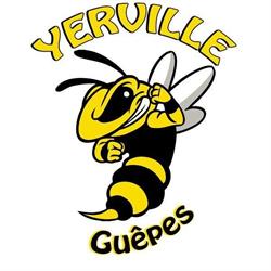 Yerville Guêpes – Destruction nids de guêpes & frelons (76), - Horaires d'ouverture