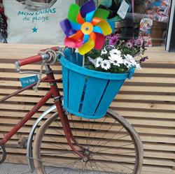 Concept Store La Plage Paradise, Hyères - Horaires d'ouverture