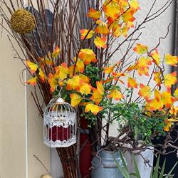 La Petite Epicerie, Courcelles-sur-Nied - Horaires d'ouverture