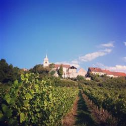 Domaine de la Bougarde, Offlanges - Horaires d'ouverture