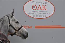 Elevage Oak, Vatteville-la-Rue - Horaires d'ouverture