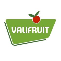 Valifruit - Réseau Le Saint, Nazelles-Négron - Horaires d'ouverture