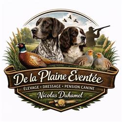 Pension canine. Pas de Calais, Siracourt - Horaires d'ouverture