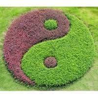 SHIATSU Nathalie ROSTAING-TAYARD, Nuelles - Horaires d'ouverture