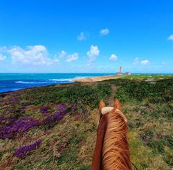 Les Chevaux du Cap Lévi, Fermanville - Horaires d'ouverture