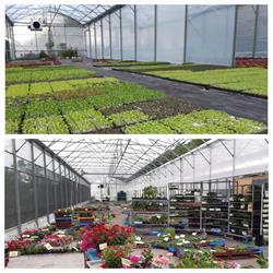 Les plants des Joannets / Gaec Des Joannets, Saint-Martin-en-Haut - Horaires d'ouverture