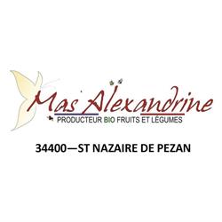 MAS ALEXANDRINE - Philippe DEBATTISTA - Maraîcher - Agriculture Biologique, Saint-Nazaire-de-Pézan - Horaires d'ouverture