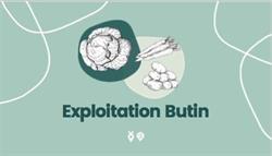 Exploitation BUTIN - Producteur de légumes, Saint-Symphorien-d'Ozon - Horaires d'ouverture
