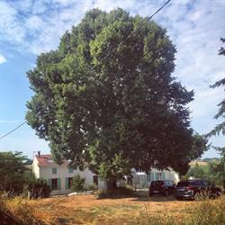 Linden Meadow, Saint-Georges-des-Agoûts - Horaires d'ouverture