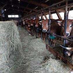 boucherie rv, Yssingeaux - Horaires d'ouverture