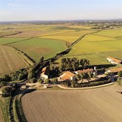 Domaine de Remoule, Arles - Horaires d'ouverture