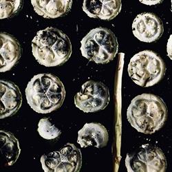 Restaurant AZUL, Cancon - Horaires d'ouverture