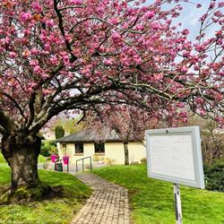 Iroko, Neuilly-sur-Marne - Horaires d'ouverture