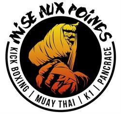 Club MISE AUX POINGS / Kick-Boxing /Muay Thai / Sanda / MMA, Ramonville-Saint-Agne - Horaires d'ouverture