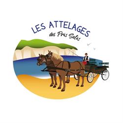 Les attelages des prés salés, Hautot-sur-Mer - Horaires d'ouverture