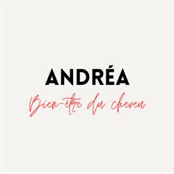 Andréa Bien-être du cheveu, Biarritz - Horaires d'ouverture