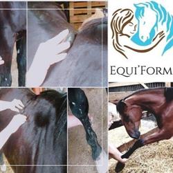 Equi'Forme, Roëllecourt - Horaires d'ouverture