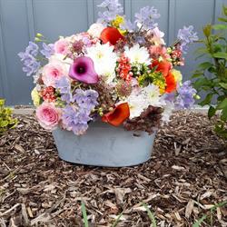 Mes AMEs en fleurs, Béthisy-Saint-Pierre - Horaires d'ouverture