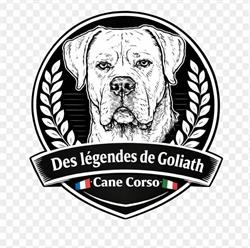 Élevage des légendes de Goliath (cane corso), Sainte-Anne-sur-Gervonde - Horaires d'ouverture