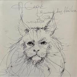 Chatterie Familiale Bretonne les Coons Von Mondkatzen & Fa, Landerneau - Horaires d'ouverture