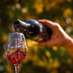 Domaine la Tucayne, Bouillac - Horaires d'ouverture