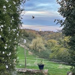 Les Herbes Folles, Clermont-d'Excideuil - Horaires d'ouverture