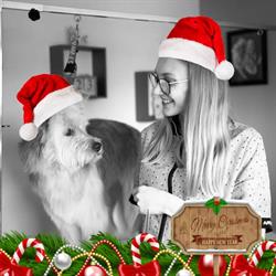 Salon de toilettage ANIMALOOK - Coline Bareau, L'Herbergement - Horaires d'ouverture