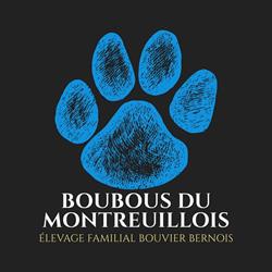 Les Boubous du Montreuillois, Élevage de Bouvier Bernois., Marenla - Horaires d'ouverture