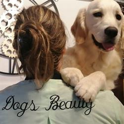 Dog's beauty, Pointis-Inard - Horaires d'ouverture