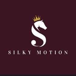 Sellerie Silky Motion, Lannion - Horaires d'ouverture