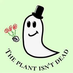 The plant isn't dead, Amiens - Horaires d'ouverture