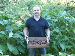 mes bios légumes, Talmont-Saint-Hilaire - Horaires d'ouverture