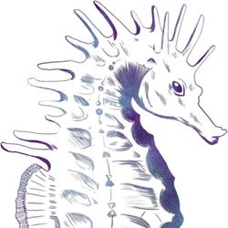 VioletReflexologies, Tarbes - Horaires d'ouverture