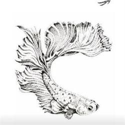 Kona Tattoo, Soorts-Hossegor - Horaires d'ouverture