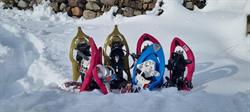 Chalet des pioupious, La Bresse - Horaires d'ouverture