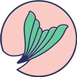 Nemo Poke Bowl, Nancy - Horaires d'ouverture