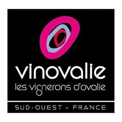 Vinovalie - Cave de Fronton, - Horaires d'ouverture