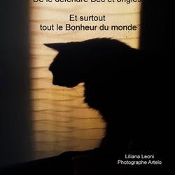Art'Elo, Ajaccio - Horaires d'ouverture