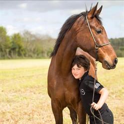 Poney Club des oliviers, La Forêt-Fouesnant - Horaires d'ouverture